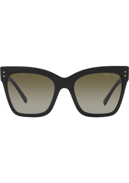 0AR8175 50018E 54 Kadın Güneş Gözlüğü fiyatları