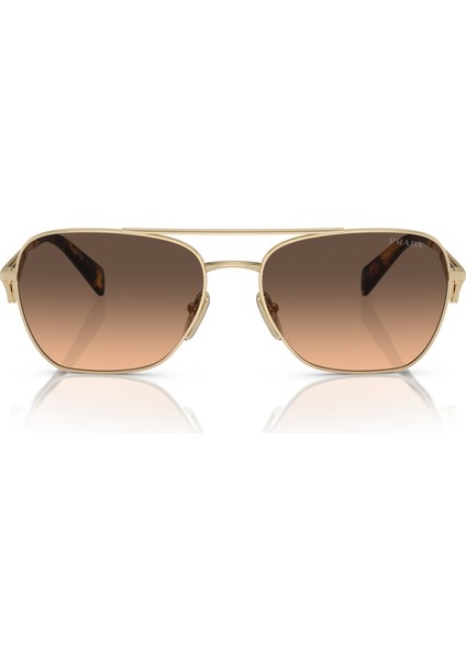 PR A50S ZVN50C 59-17 Kadın Gold Metal Oval Güneş Gözlüğü fiyatları