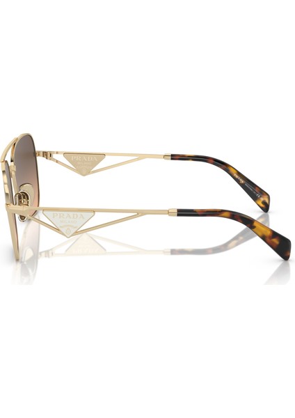 PR A50S ZVN50C 59-17 Kadın Gold Metal Oval Güneş Gözlüğü modelleri