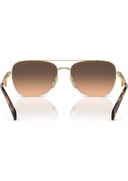 PR A50S ZVN50C 59-17 Kadın Gold Metal Oval Güneş Gözlüğü fırsatları