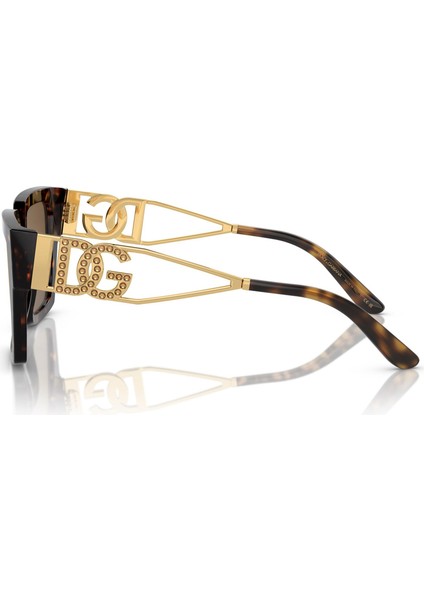 0DG4446B 502/73 53 Kadın Güneş Gözlüğü modelleri