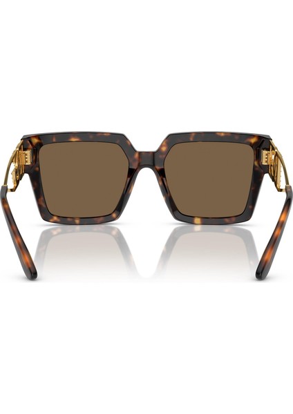 0DG4446B 502/73 53 Kadın Güneş Gözlüğü fırsatları