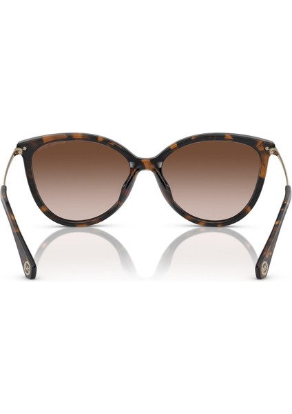 Mıchael Kors Güneş Gözlüğü 2184 300613 58 fırsatları