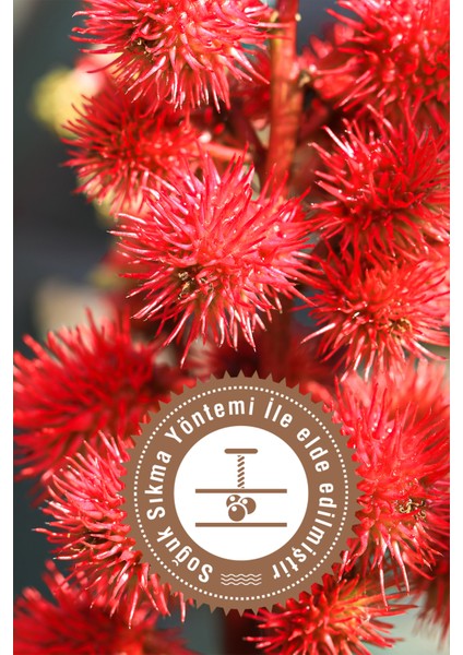 Hint Yağı Onarıcı Etkili 50 ml Yağ Unisex Kullanım İçin Soğuk Sıkım fiyatları