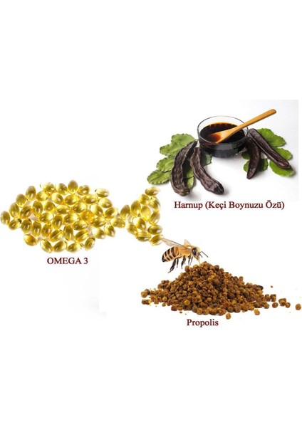 Propolis & Omega3 Harnup Özü 640GR fiyatları