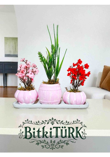 -3lü Tabaklı Kaktüs Setinden Yapay Çiçek Ofis Salon Hediye fiyatları