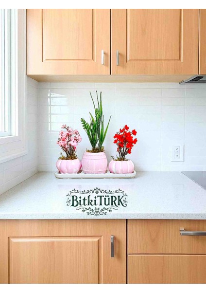 -3lü Tabaklı Kaktüs Setinden Yapay Çiçek Ofis Salon Hediye modelleri