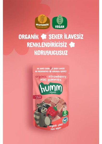 Organik Glutensiz Vegan Çilekli Mini Küpler Atıştırmalık Paketi - 6 Adet fiyatları