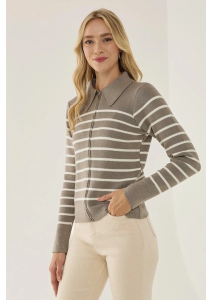 Kadın Çizgili Fermuarlı Gömlek Yaka Hırka Grey fiyatları