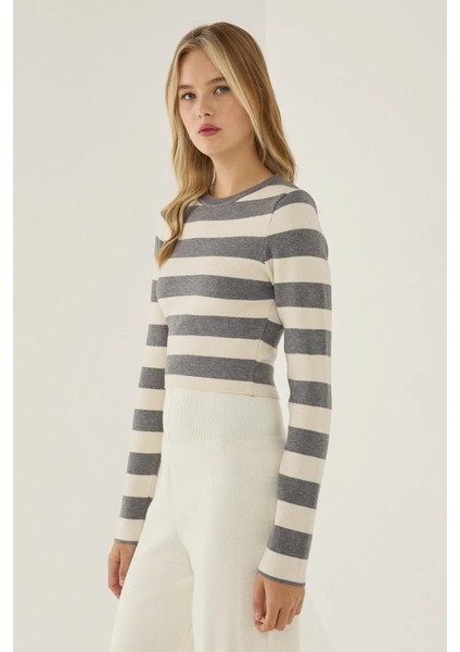 Kadın Çizgili Bisiklet Yaka Triko Üst Grey