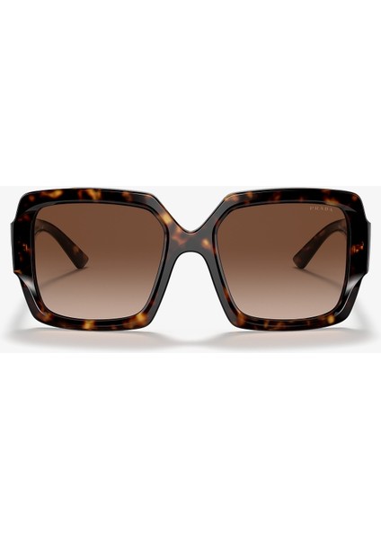 Opr 21XS 2AU6SI 54 Kadın Güneş Gözlüğü fiyatları