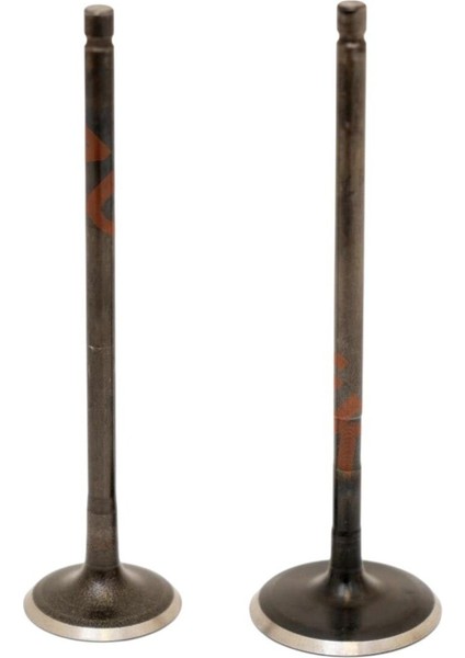 Subap Takımı [orjinal] Bajaj Pulsar Ns 200