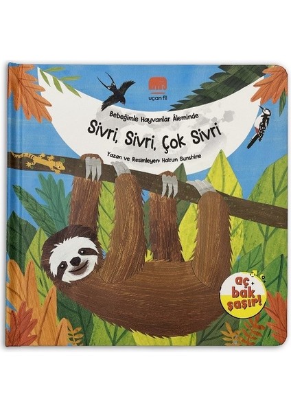 Aç Bak Şaşır! - Bebeğimle Hayvanlar Âleminde Sivri, Sivri, Çok Sivri (Büyük Boy 3 Boyutlu Kitap)