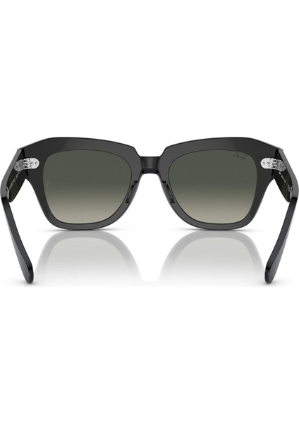 State Street Unisex Siyah Güneş Gözlüğü Rb 2186 901/71 49 modelleri