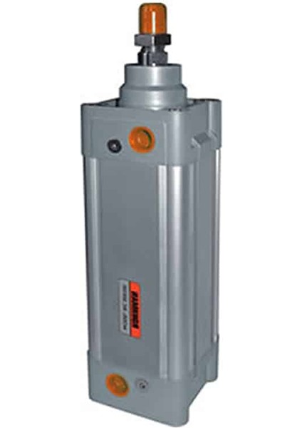 Rıc Pnömatik Manyetik Silindir - 100 Mm, 150 mm