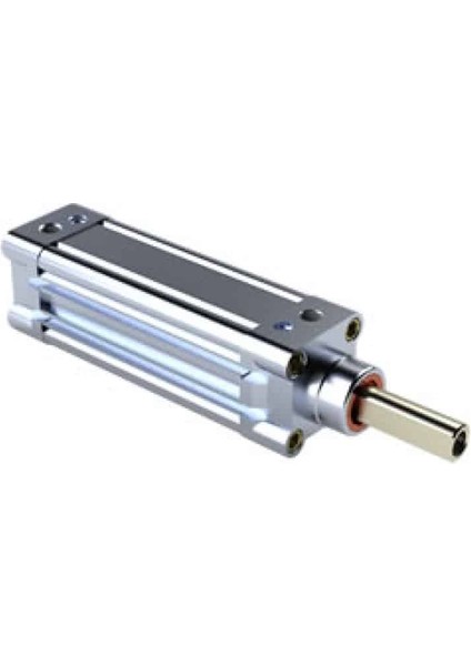Rıcn Pnömatik Dönmez Milli Silindir - 100 Mm, 100 mm