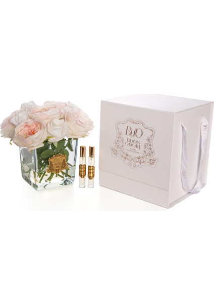 Kare Cam Gold Şakayik Allikli Ev Parfumu | Kaliteli ve Uzun Süre Kalıcı Koku fırsatları