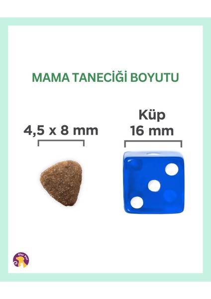 Hill’s Science Plan Kitten Tavuklu Yavru Kedi Maması 1/5 kg modelleri