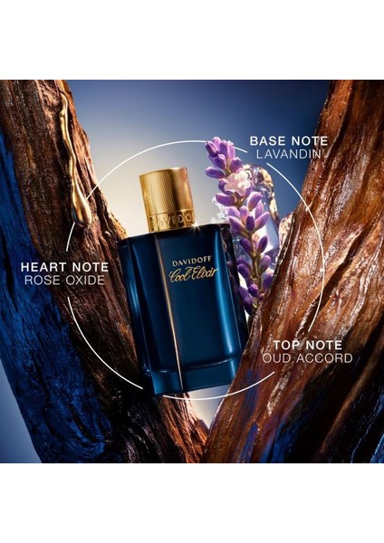 Cool Elixir Oud Aromatique Parfum Intense 100 ml