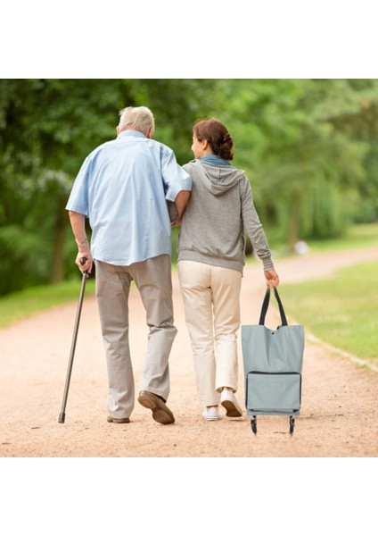 Portatif Katlanabilir Pazar Arabası 75X35 modelleri