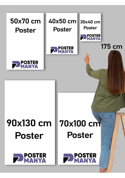 Van Gogh The Postman, Postacı, Izlenimcilik Sanatsal Poster - Afiş - Dekoratif Duvar Poster modelleri