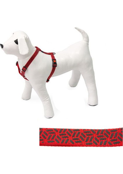 Karlıe Art Sp.plus Ayarl. Göğ.tasma 45-70cm 20mm