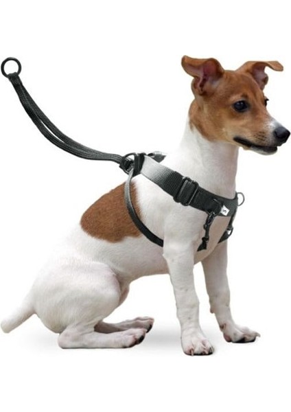 Easy Walker Göğüs Tasma 22*32CM Small