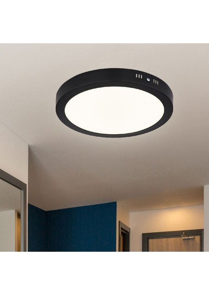 ekim aydınlatma 30 W LED Panel - Gün Işığı (3000K) - Siyah Kasa - Yuvarlak - Sıva Üstü - CT-5238G