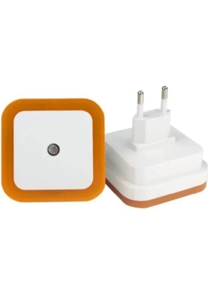 Ekim Aydınlatma Gece Lambası Foteselli 4 Renk Seçeneği ile Fişe Tak Çalıştır.