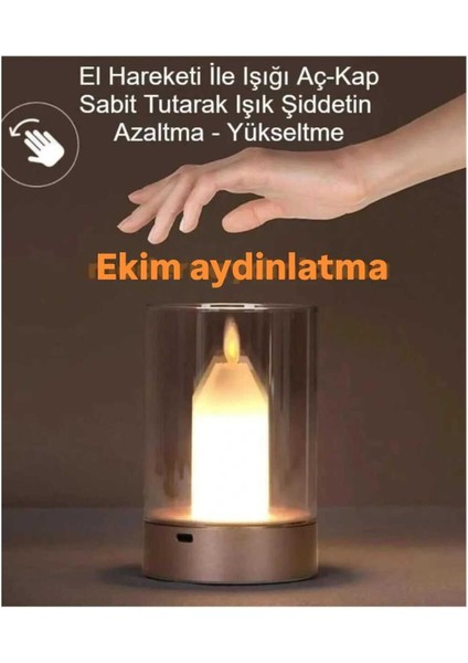 Ekim Aydınlatma Tokyo Hareket Algılamalı Dimmerli Şarjlı Masa Lambası CT8432