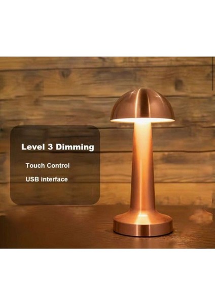 Ekim Aydınlatma 3 Kademeli, 3 Işık Modlu, Şarjlı, Dokunmatik Masa ve Gece Lambası modelleri