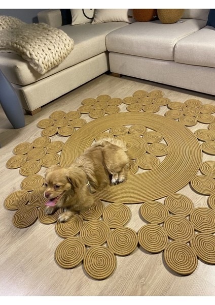 Asteraceae Jüt Hasırlı Örgü Kilim modelleri