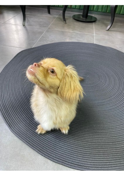 Antrasit Jüt Yuvarlak Hasır Görünümlü Klasik Halı Kilim indirimleri