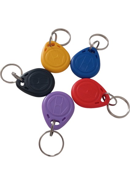 Sr 602 H Yazılabilir, Kopyalanabilir 125 Khz Proximity Anahtarlık fırsatları