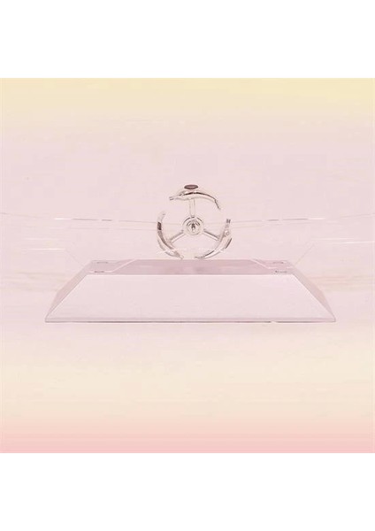 Buffer® Dekoratif Masa Üstü Obje Manyetik Kinetik Orbital Dönen Yunuslar