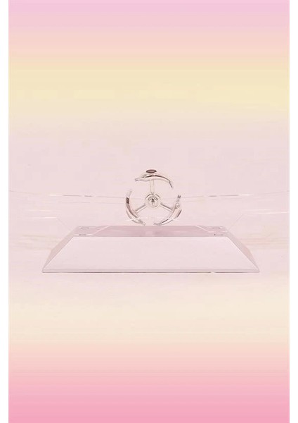 Buffer® Dekoratif Masa Üstü Obje Manyetik Kinetik Orbital Dönen Yunuslar fırsatları