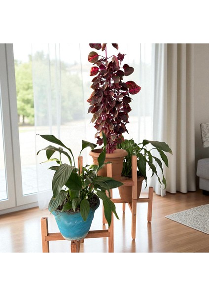 Moxocreative Üçlü Ahşap Saksı Standı Çiçek Saksı Altlığı 3 Adet Raf Çiçeklik Stand modelleri
