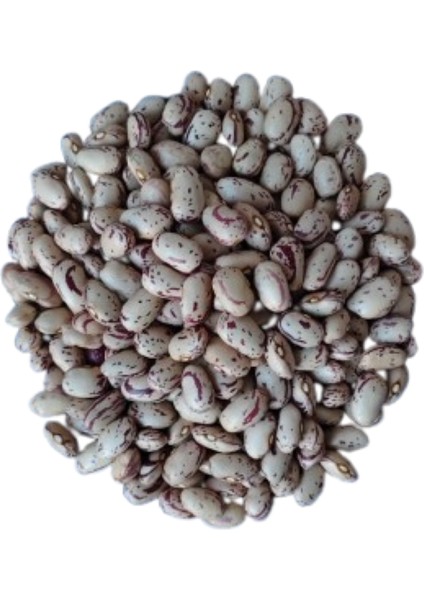 Toros Yayla Barbunya 1 kg