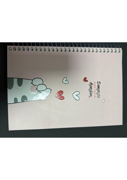 Zamansız Ajanda modelleri