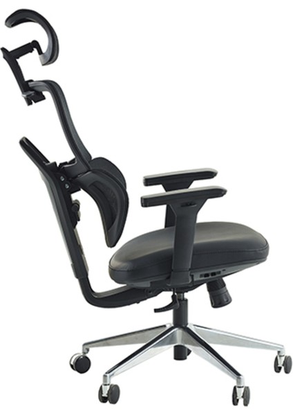 Venice Profesyonel Premium Yönetici Koltuğu | Ergonomik | 4d Kolçak | Ortopedik Bel Desteği | 24 Ay Garanti fiyatları