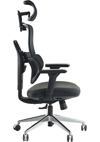 Venice Profesyonel Premium Yönetici Koltuğu | Ergonomik | 4d Kolçak | Ortopedik Bel Desteği | 24 Ay Garanti modelleri