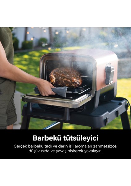 Woodfire Elektrikli Outdoor Fırın, Artisan Pizza Maker ve Bbq Smoker