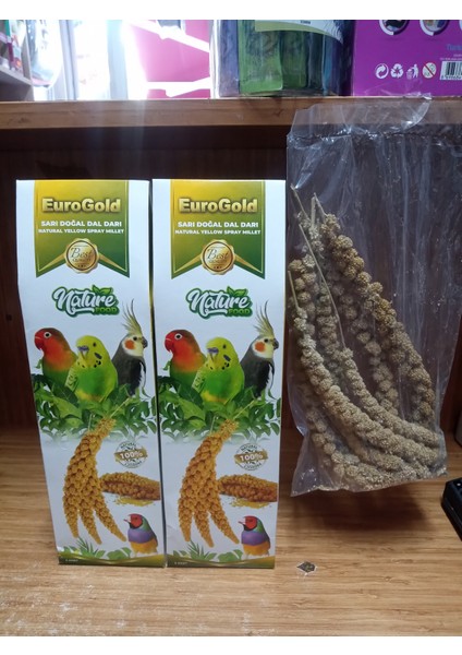 Euro Gold Sarı %100 Doğal Dal Darı 1 PAKET