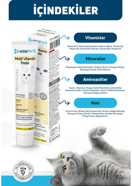 Multi Vitamin Paste Immün Sistem Destekleyici Kedi Maltı 100 gr modelleri