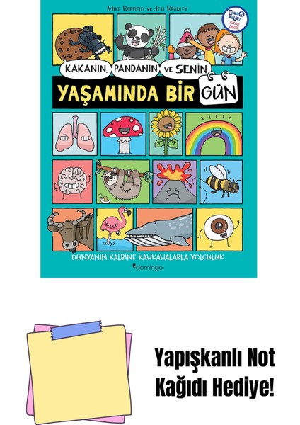 Kakanın Pandanın ve Senin Yaşamında Bir Gün + Yapışkanlı Not Kağıdı