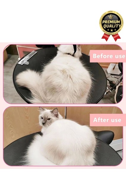 Yeni Seri Tüy Bakımı Pati Desenli Şarjlı Su Hazneli Doldurulan Kedi Köpek Evcil Hayvan Buharlı Tarak indirimleri