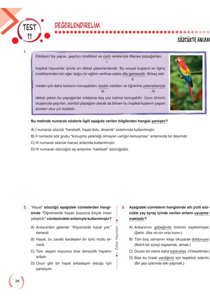 6. Sınıf TÜRKÇE Soru Bankası Fasikül Seti | YENİ modelleri