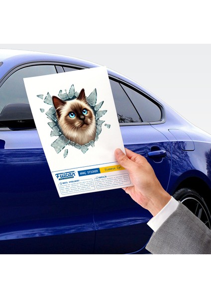 Fulcar Siamesse Araç Stickerı modelleri
