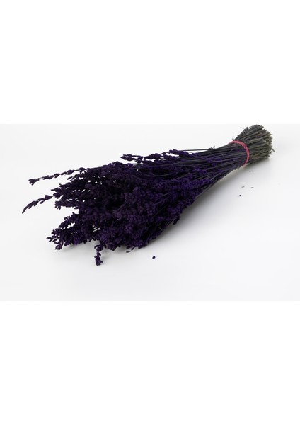 Lavanta Spa Seti - Lavanta Bakım Yağı, Lavanta Banyo Tuzu, Mum fırsatları