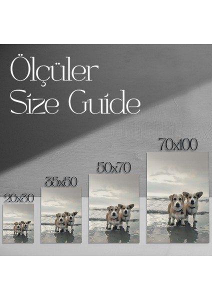 Plajda Eğlenen Corgi Kardeşler Tablosu modelleri